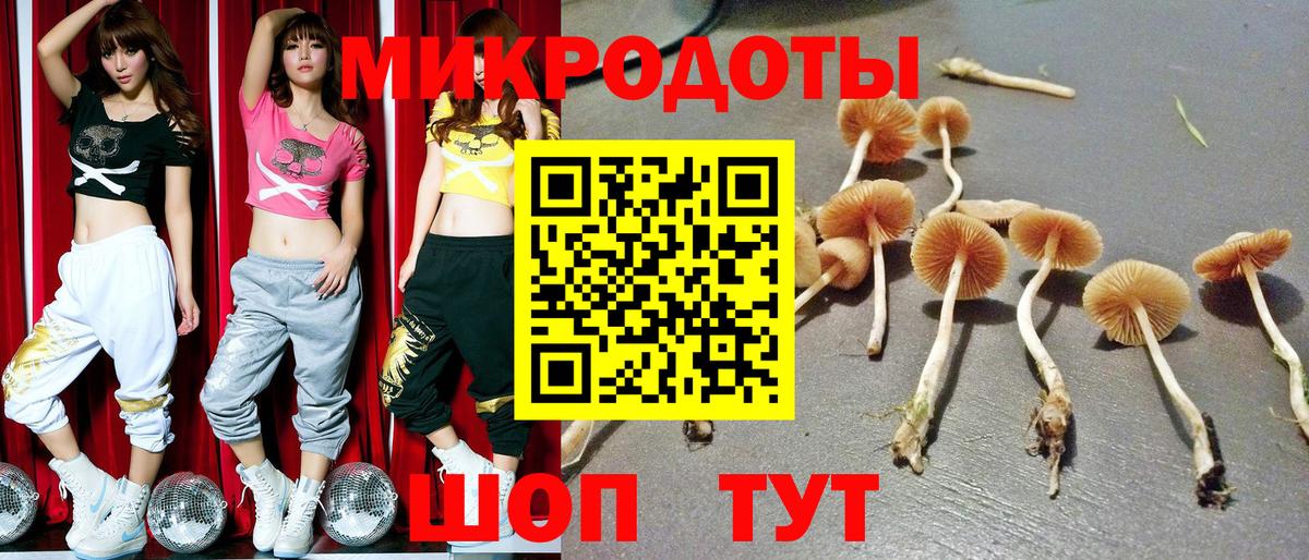 Псилоцибиновые грибы Psilocybe  Вход с VPN  Кировск 