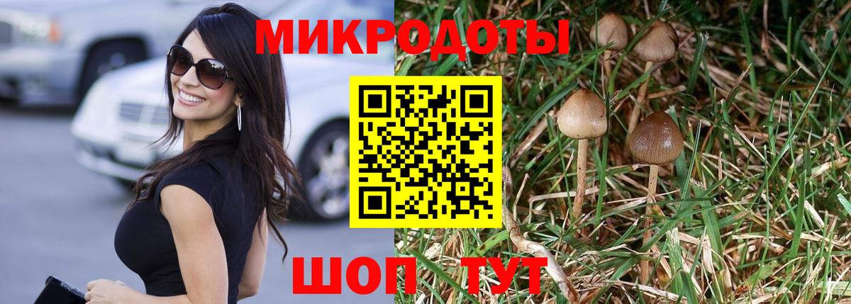 Галлюциногенные грибы GOLDEN TEACHER Кировск